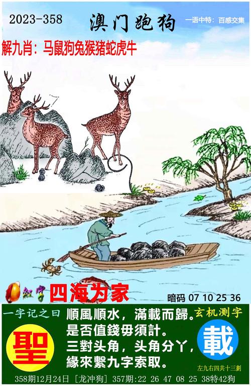 今晚澳门吗,设计策略快速解答_整版DKJ656.74