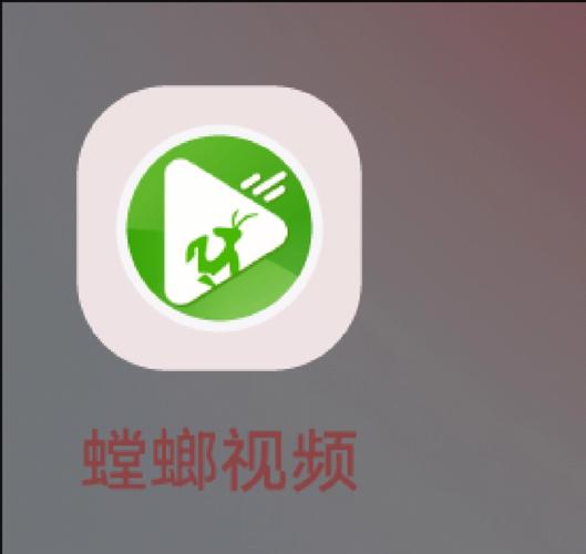 不用会员免费看剧的软件,设计策略快速解答_VR型43.237