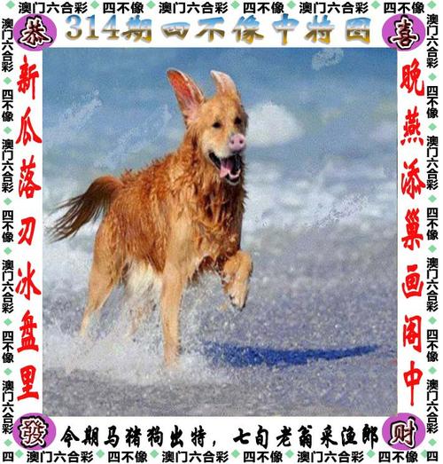 2021年澳门特马资料,设计策略快速解答_VR型43.237
