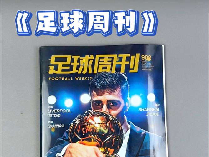 运动类期刊杂志,真实经典策略设计_VR型43.237