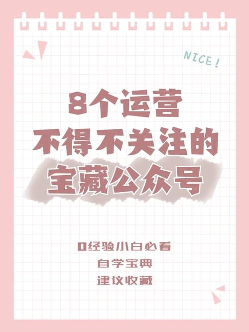 17岁中国高清免费完整版,绝对策略计划研究_社交版40.12.0
